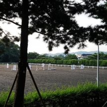 LetsRun Park Seoul Horse Racecourse The Toronto Seoulcialite Sunday Funday Day at the Races