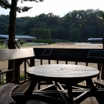 LetsRun Park Seoul Horse Racecourse The Toronto Seoulcialite Sunday Funday Day at the Races