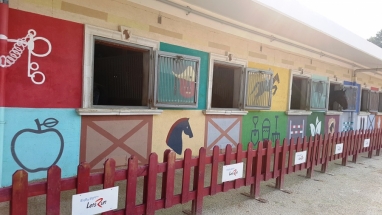 LetsRun Park Seoul Horse Racecourse The Toronto Seoulcialite Sunday Funday Day at the Races