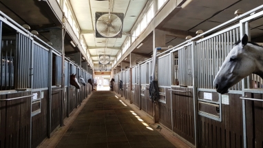 LetsRun Park Seoul Horse Racecourse LetsRun Park Seoul Horse Racecourse