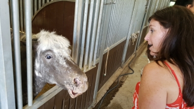 LetsRun Park Seoul Horse Racecourse The Toronto Seoulcialite Sunday Funday Day at the Races