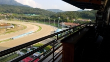 LetsRun Park Seoul Horse Racecourse The Toronto Seoulcialite Sunday Funday Day at the Races