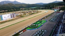 LetsRun Park Seoul Horse Racecourse The Toronto Seoulcialite Sunday Funday Day at the Races