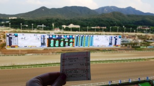 The Toronto Seoulcialite Sunday Funday Day at the Races