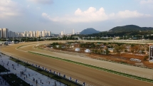 LetsRun Park Seoul Horse Racecourse The Toronto Seoulcialite Sunday Funday Day at the Races