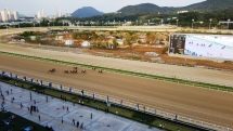 LetsRun Park Seoul Horse Racecourse The Toronto Seoulcialite Sunday Funday Day at the Races